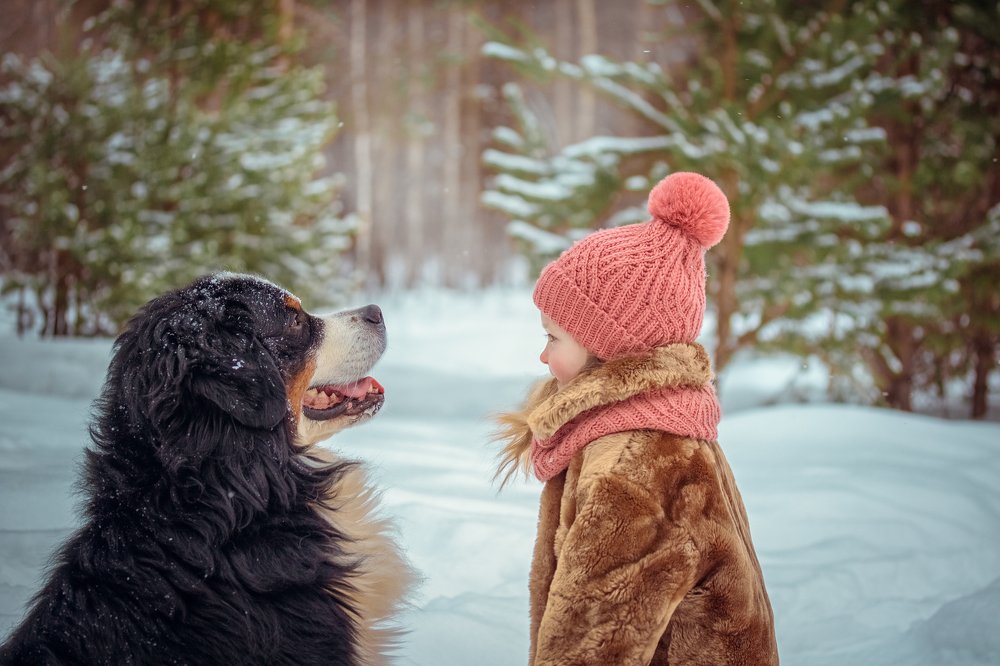Веня и Полли..