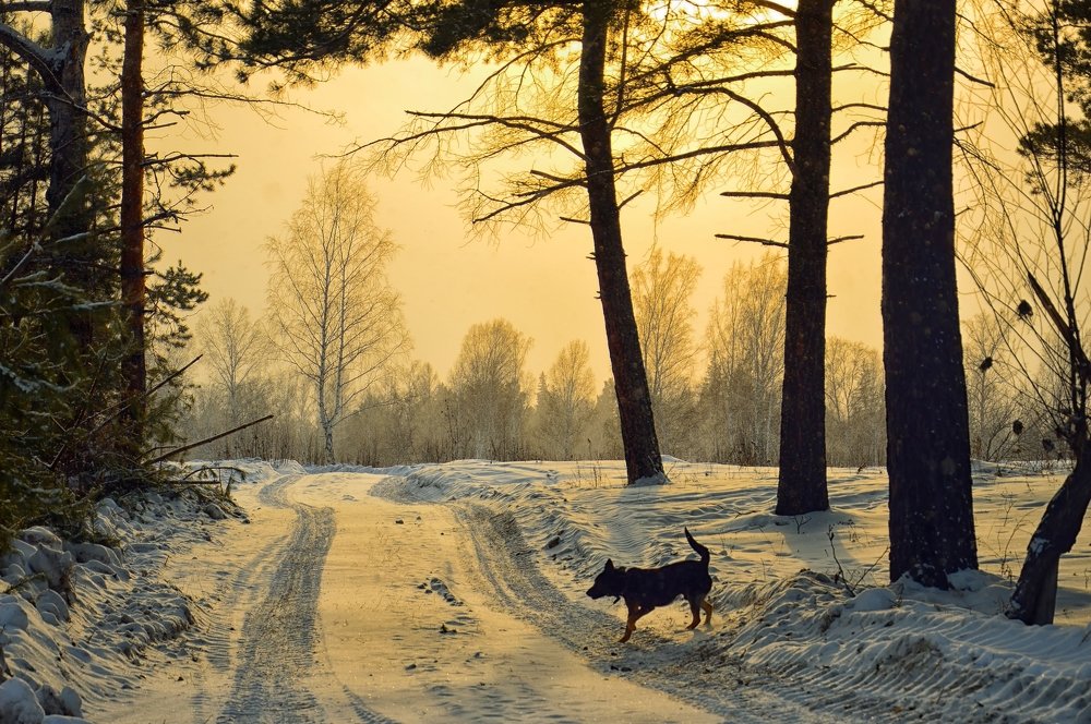 Photograph by Nadezhda