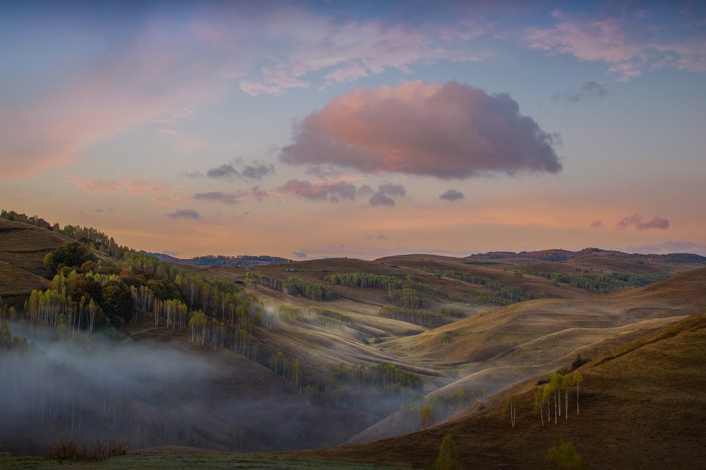 Фотография автора Елена Маковоз