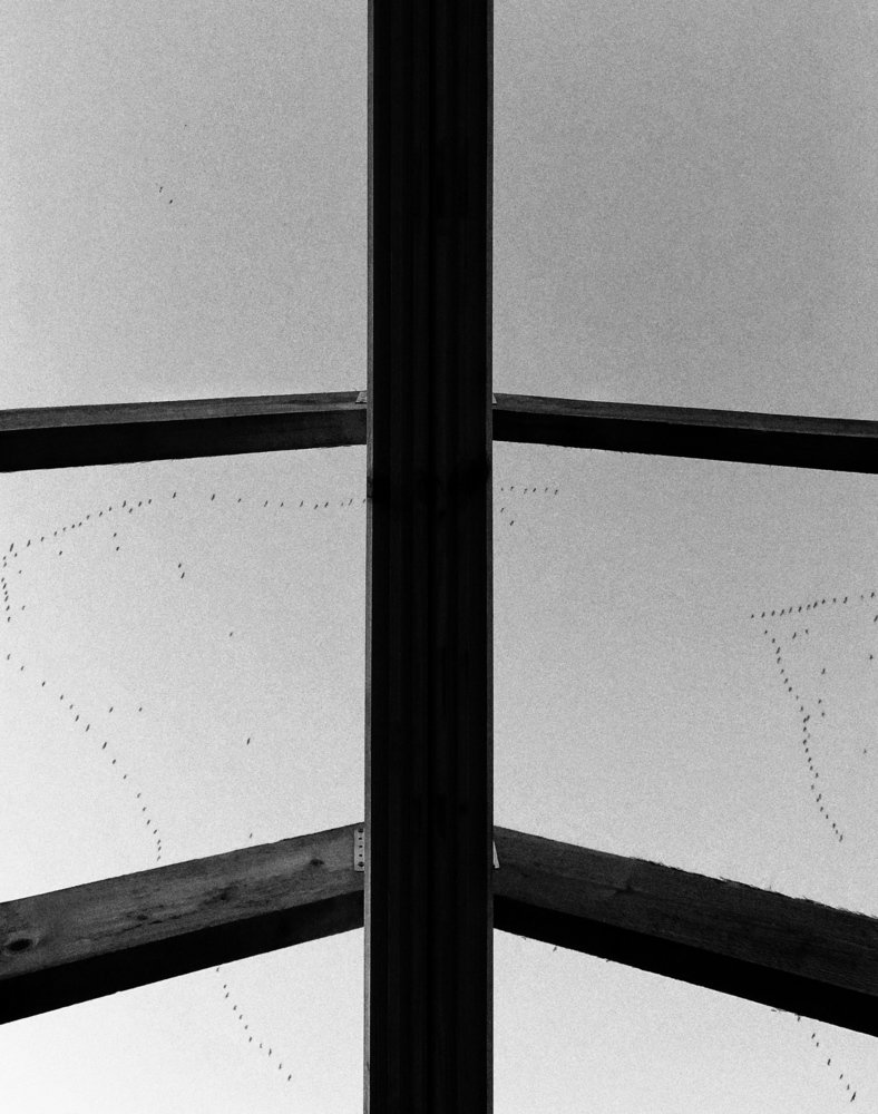 Photograph by Alexander Shcherbakov