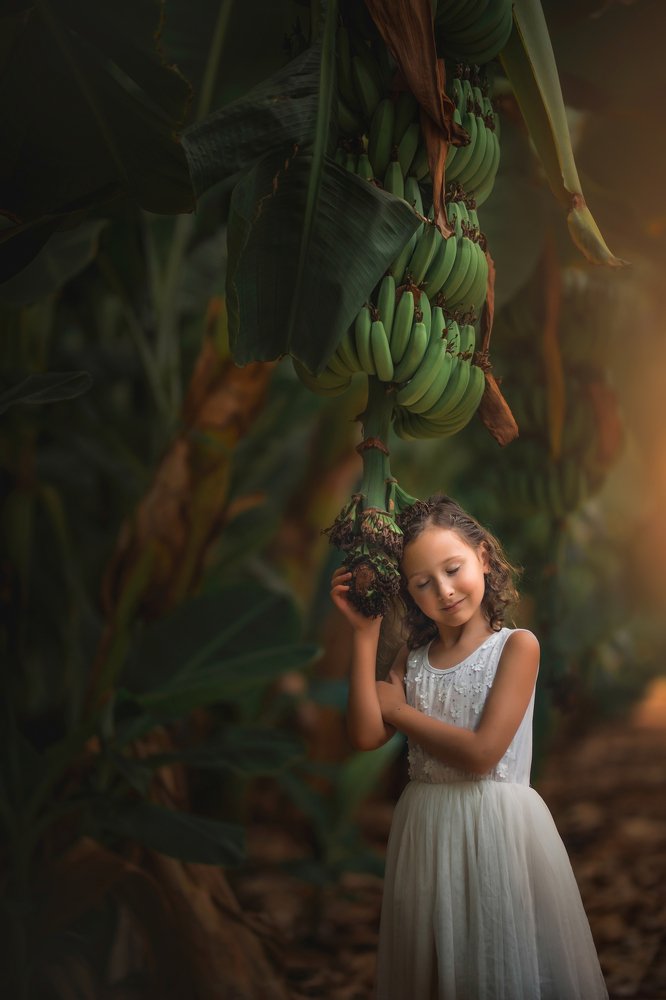 Photograph by yarden kaplan