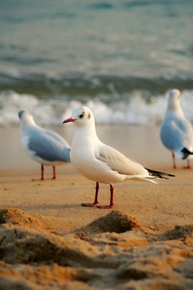 Треугольник - Три стороны