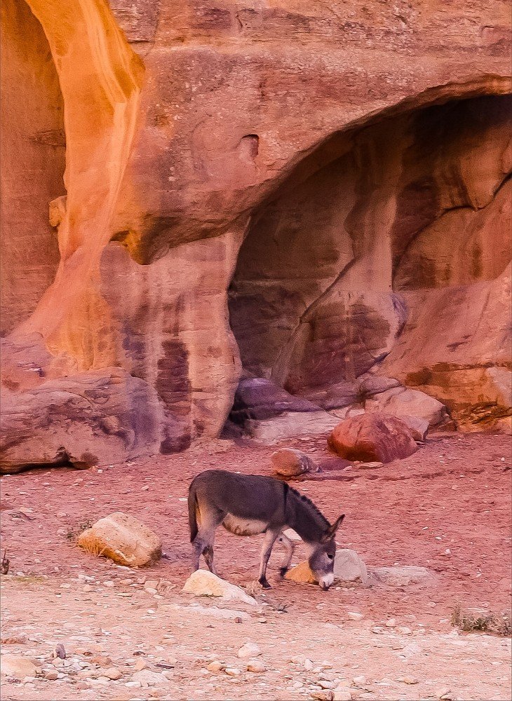 Заблудился в каменном городе.