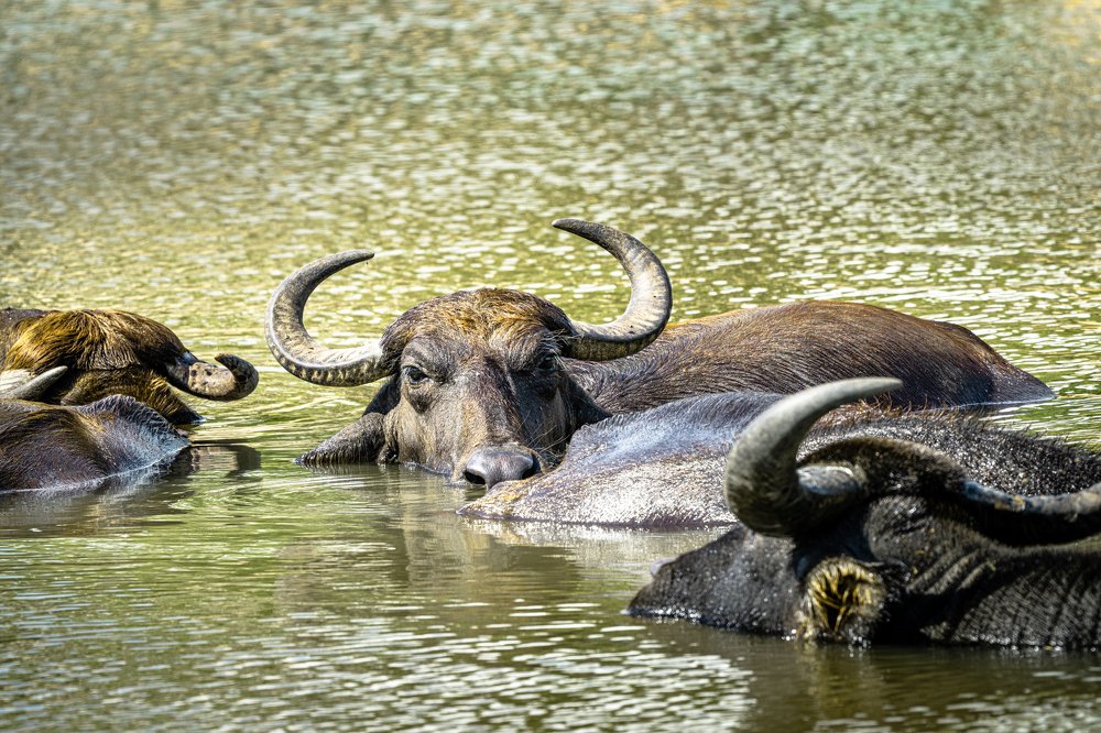 Are you looking at me?!