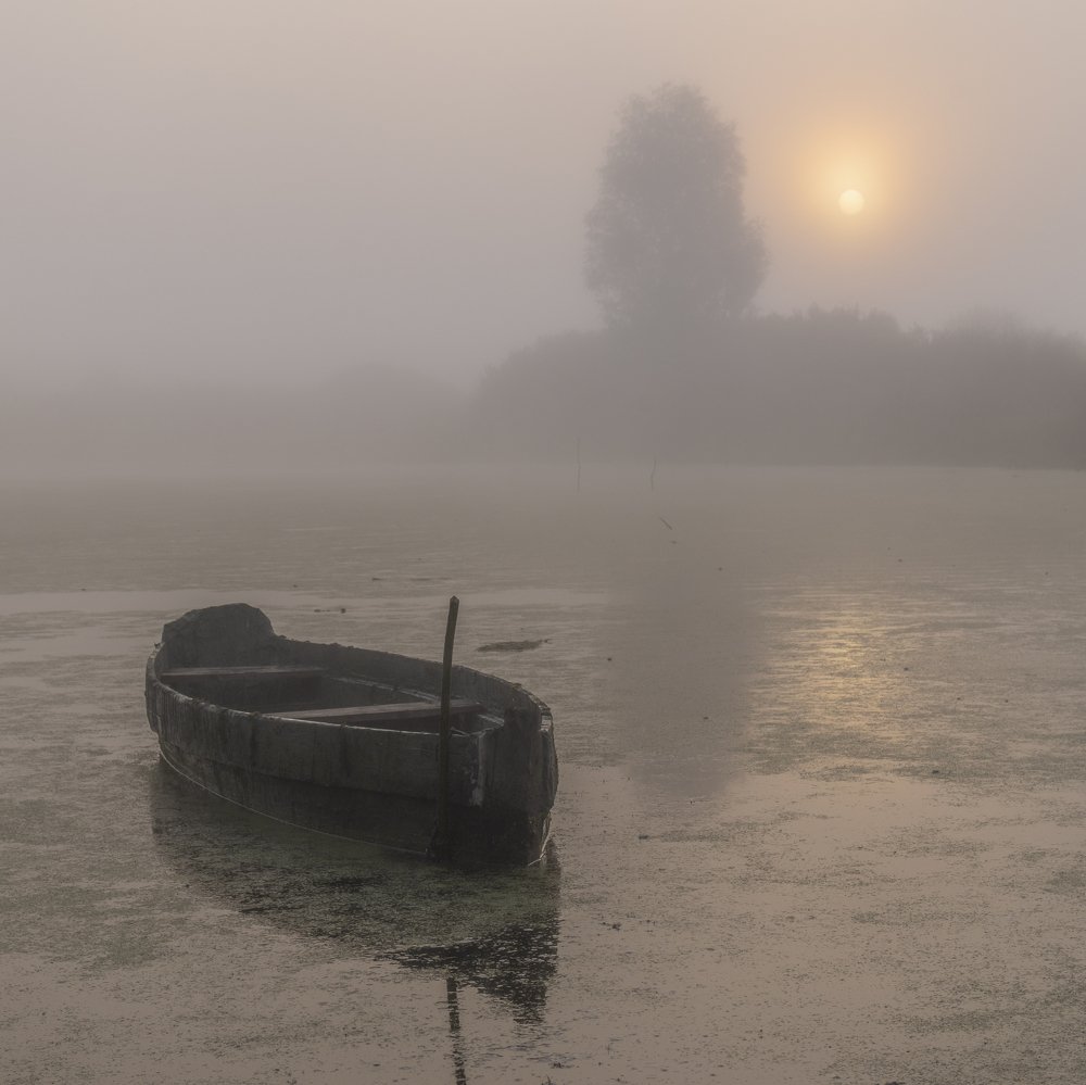 Туманное утро