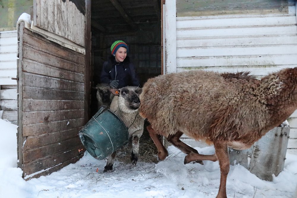 Photograph by Наталья Суслова