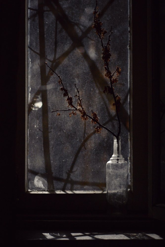 Photograph by Елена Парилова