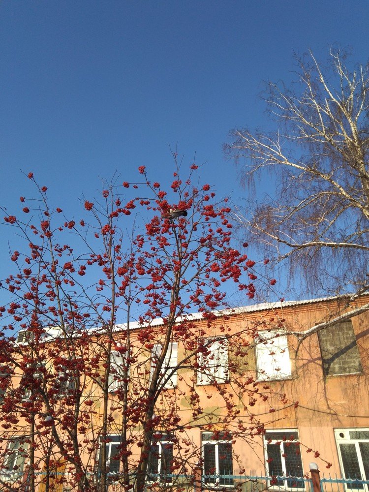 Photograph by Марина Чусова