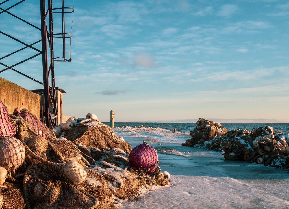 Photograph by Ольга Линк