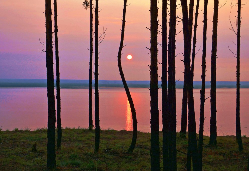 Photograph by tolik54