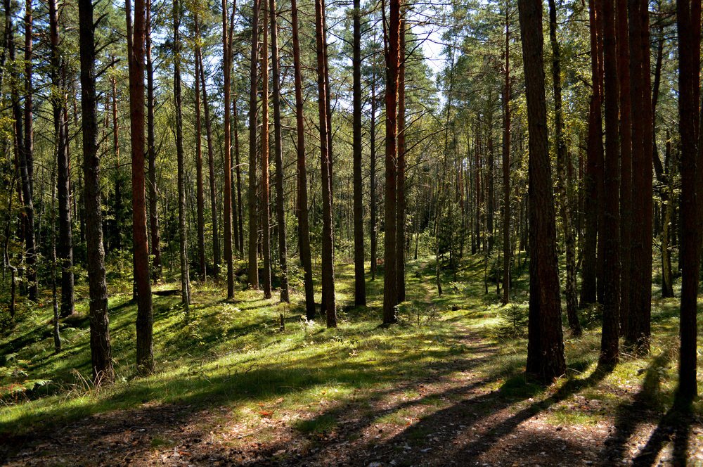 Photograph by Анна Толмачёва