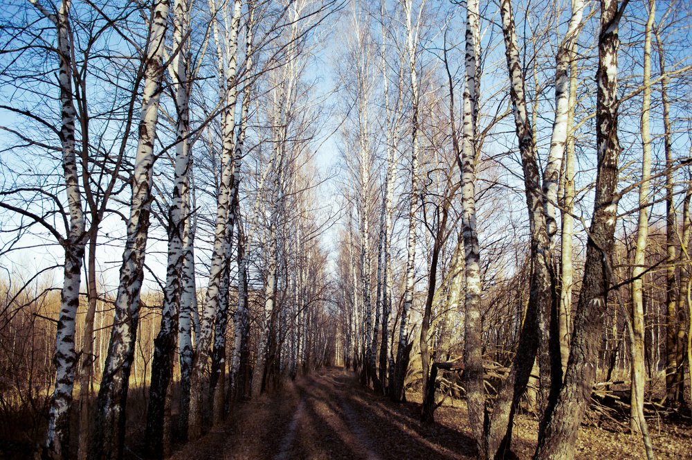 Photograph by Анна Толмачёва