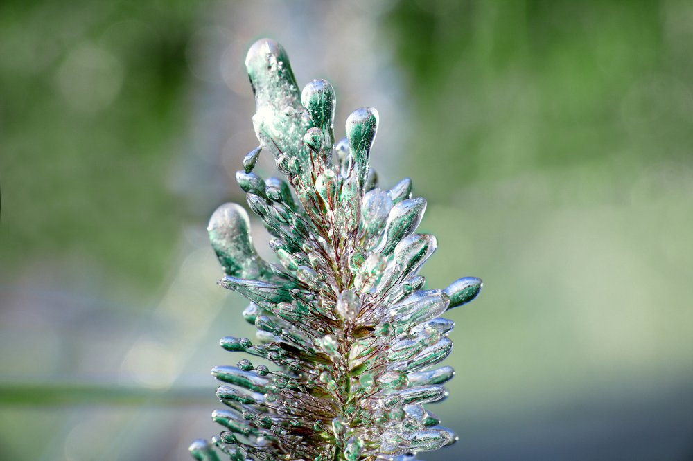 Фотография автора Михайло Павленко