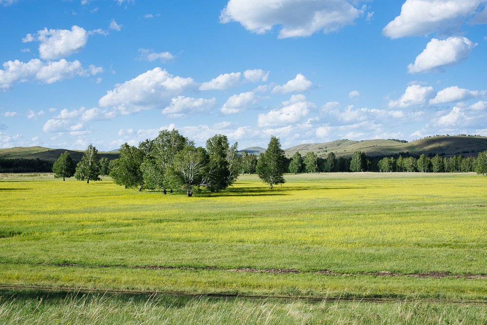 Photograph by Сергеева Марина