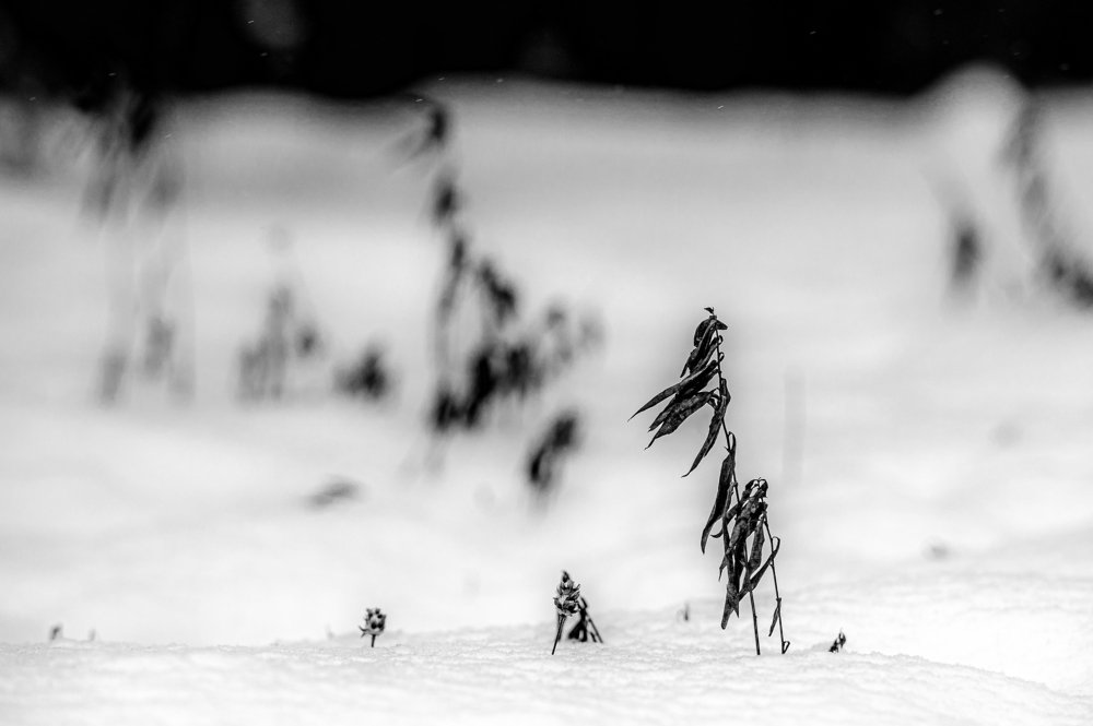 Одиночество