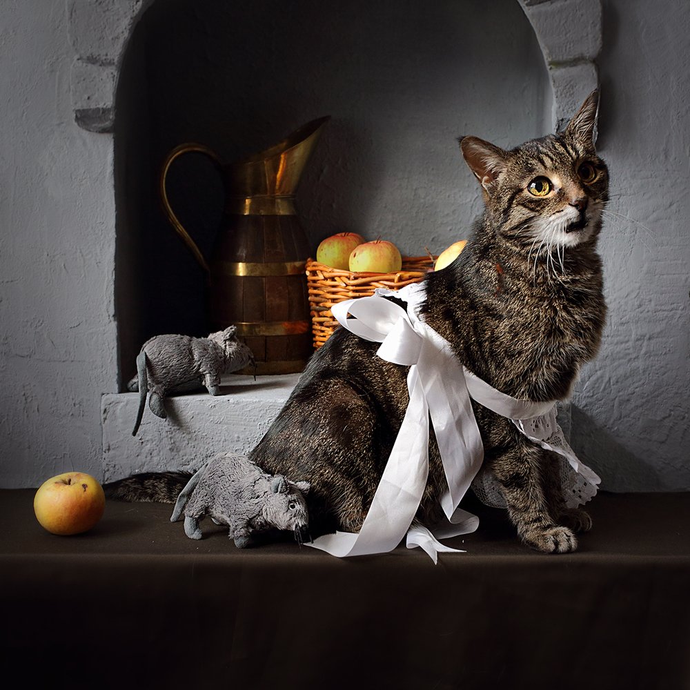 Игра в кошки-мышки или Бенефис кота Леопольда.