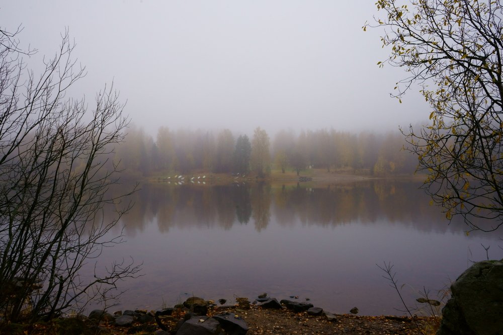 Photograph by Елена Шмарловская