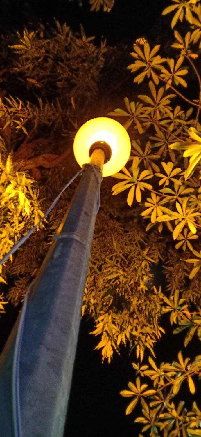 A Lamp