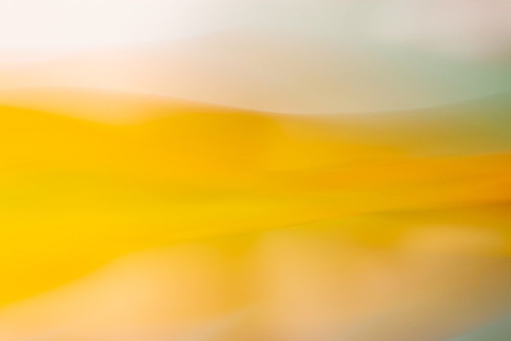 Photograph by Bart Demyttenaere