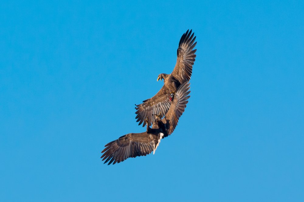 Воздушный танец