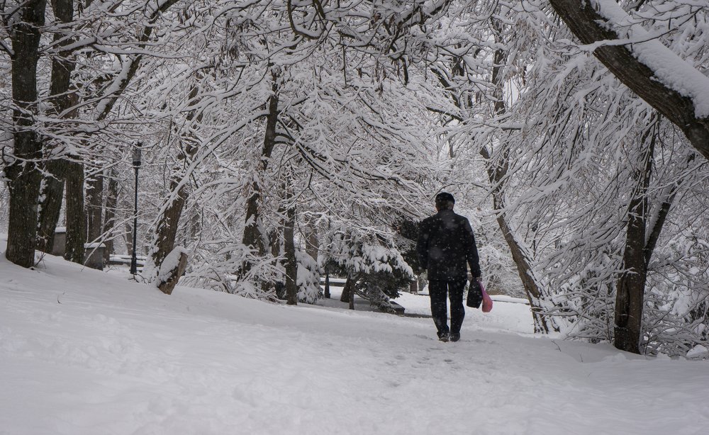 Зимняя прогулка