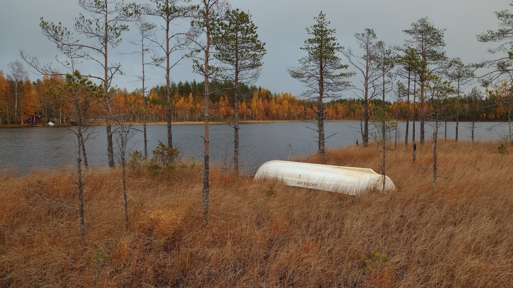 Осенний мотив.