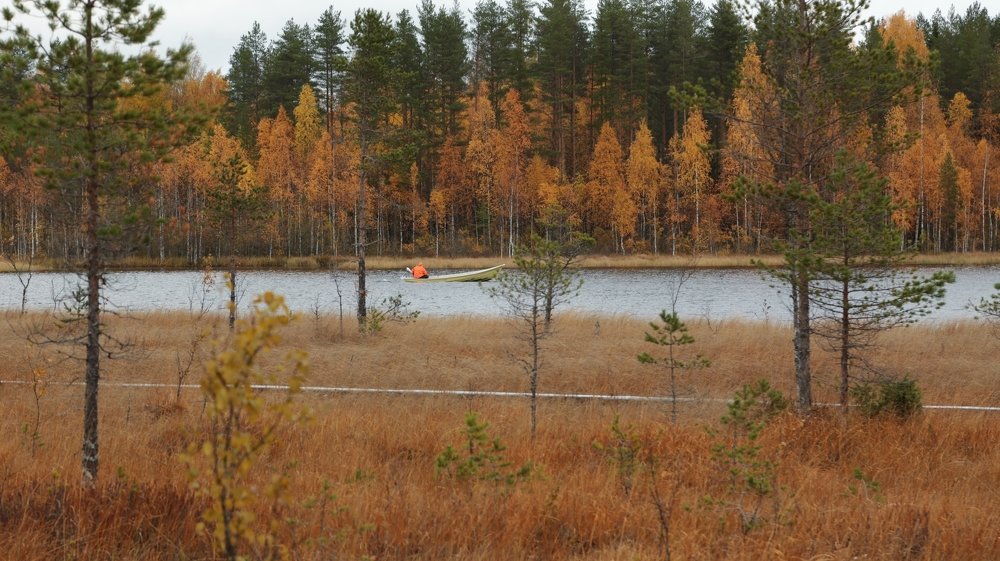 На рыбалку.