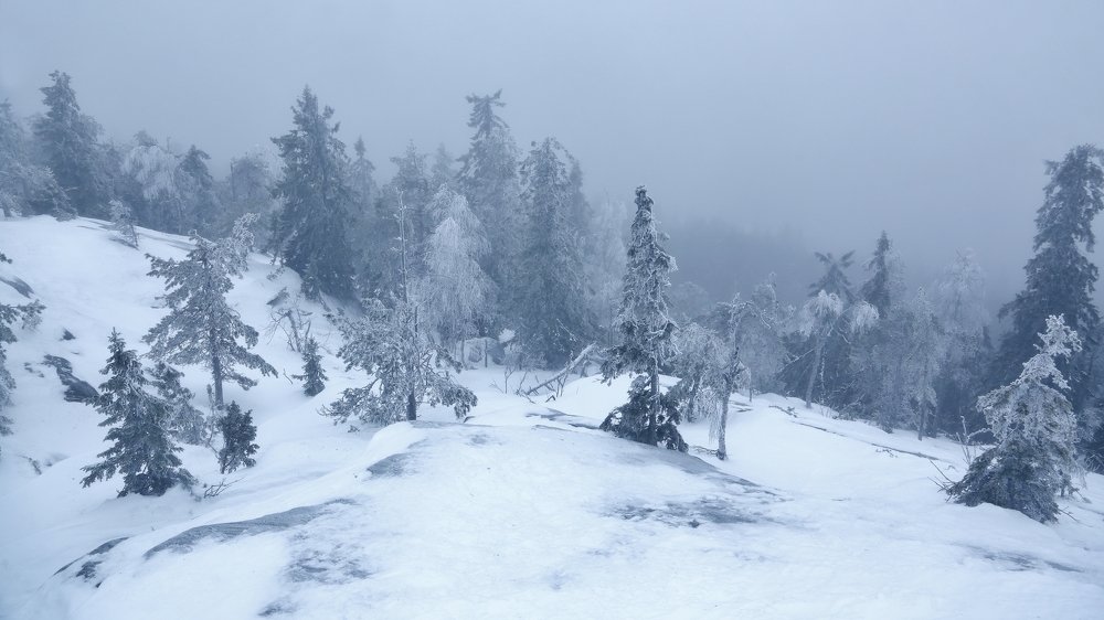 Зимний туман.