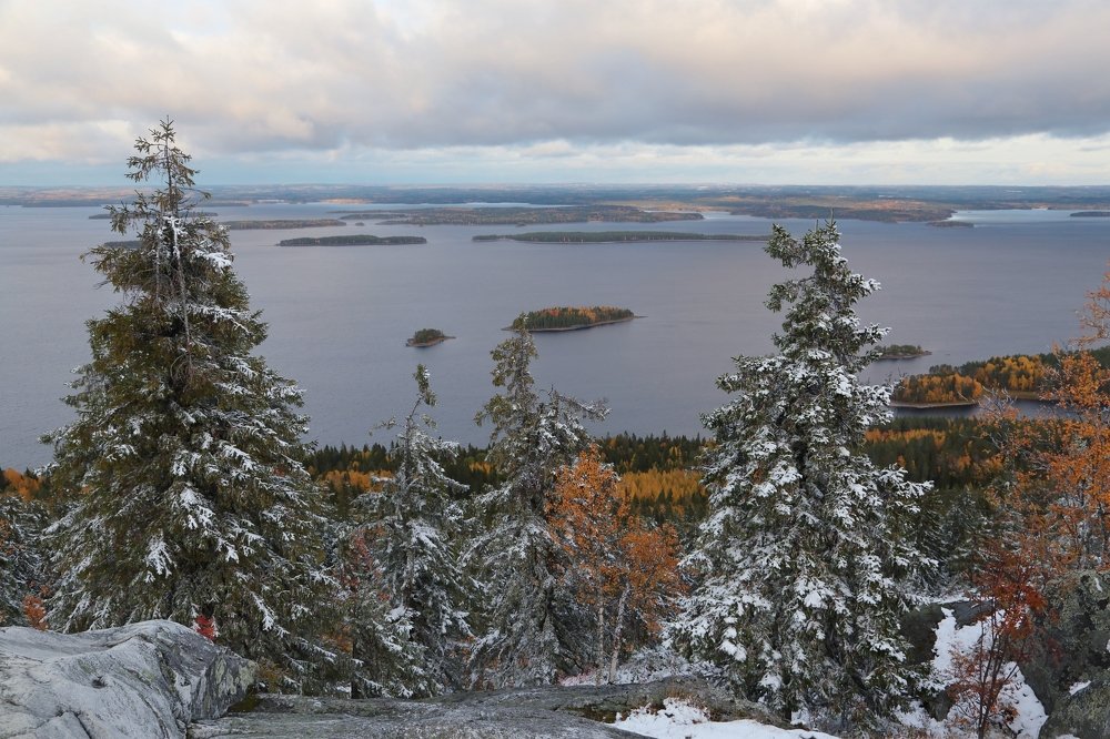 Первый снег.