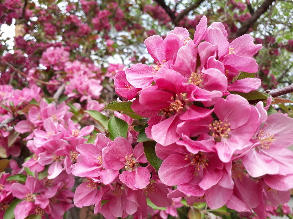 Photograph by Игорь