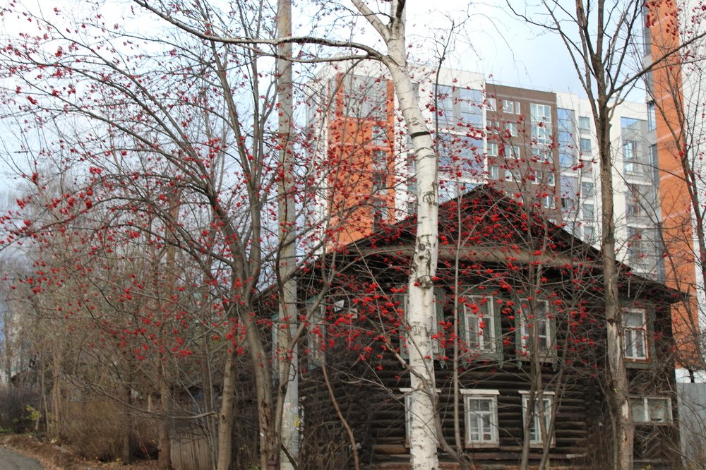 Photograph by Михаил Костыря