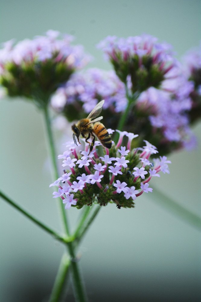 Photograph by Gemma Warren