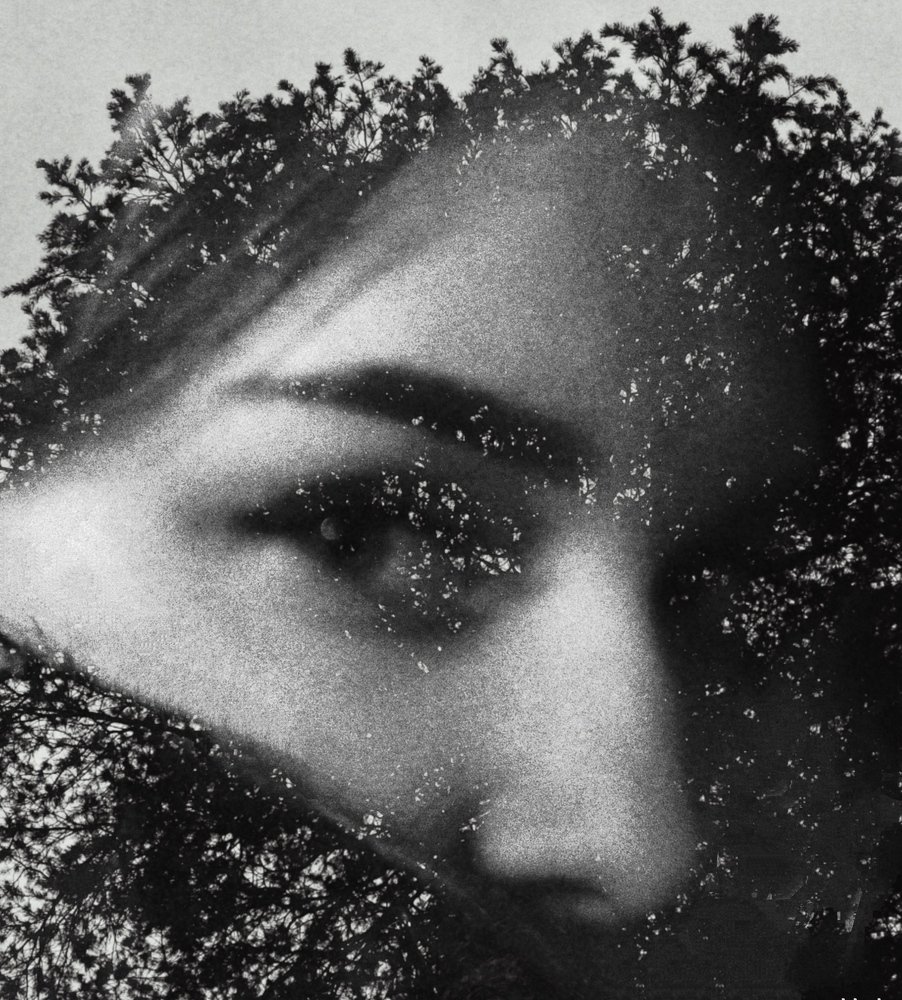 Среда обитания / Habitat