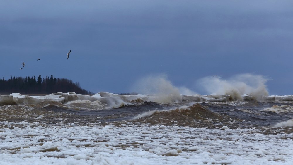 Зимний шторм.