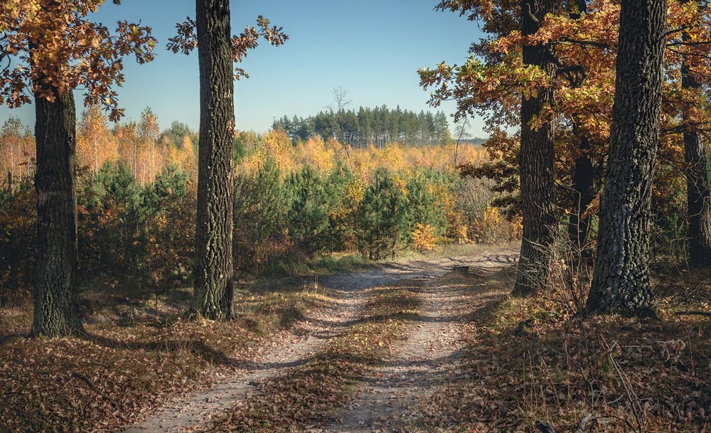 Photograph by Виталий Тимофеев