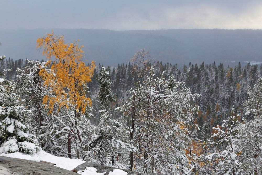 Photograph by Николай Раппу