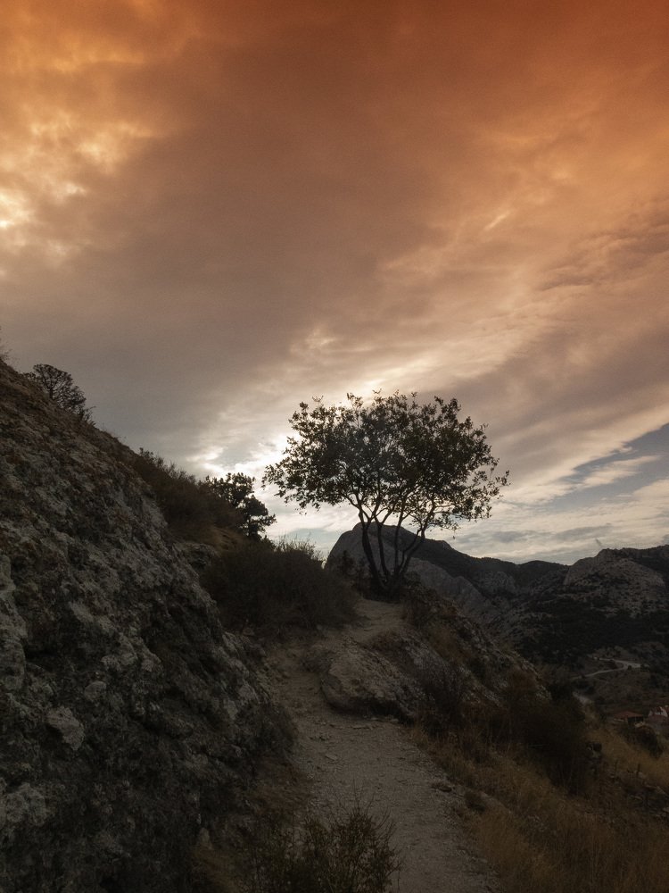 Photograph by Ирина Николаева