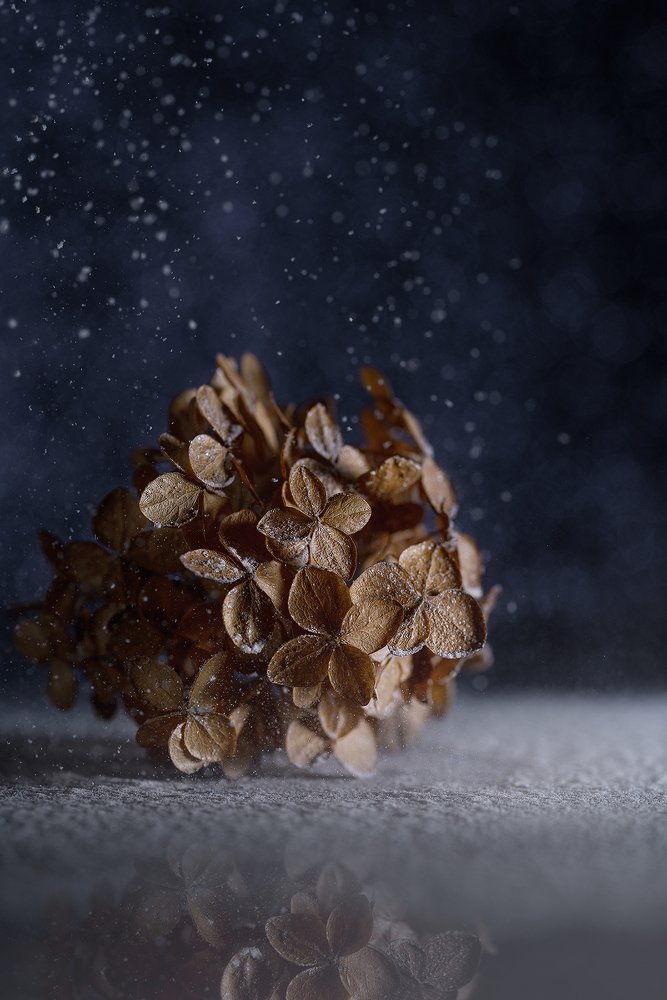 Снежная ночь