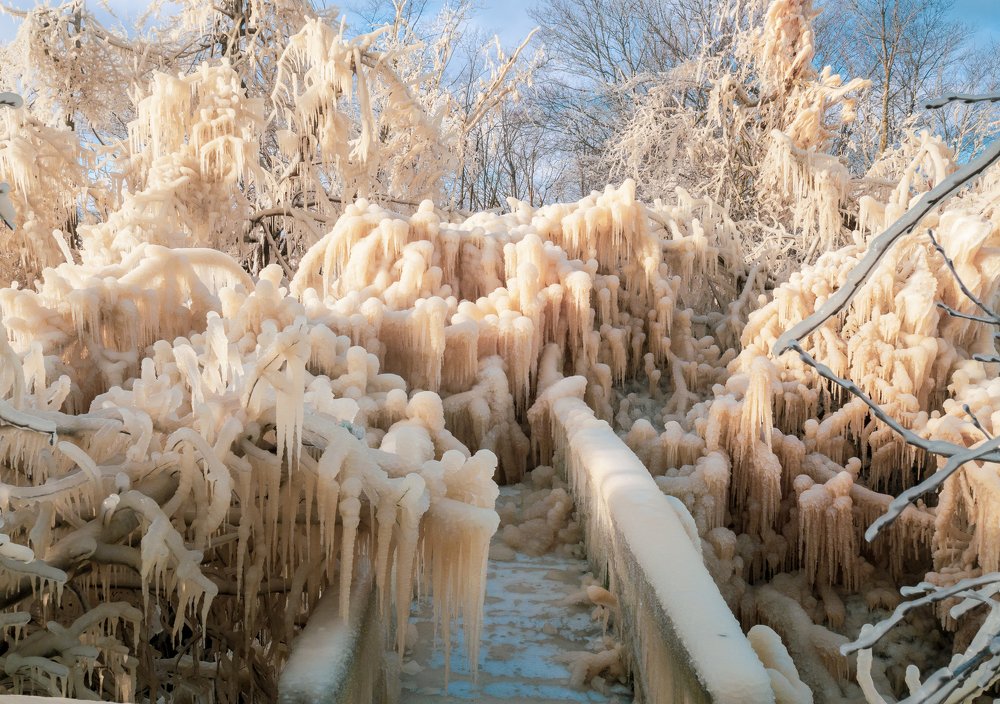 Photograph by Ольга Линк