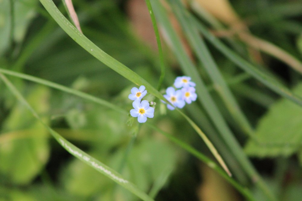Photograph by Евгения Тарасова