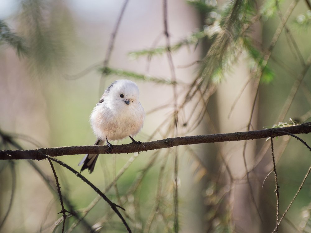 Photograph by Кирилл Кузнецов