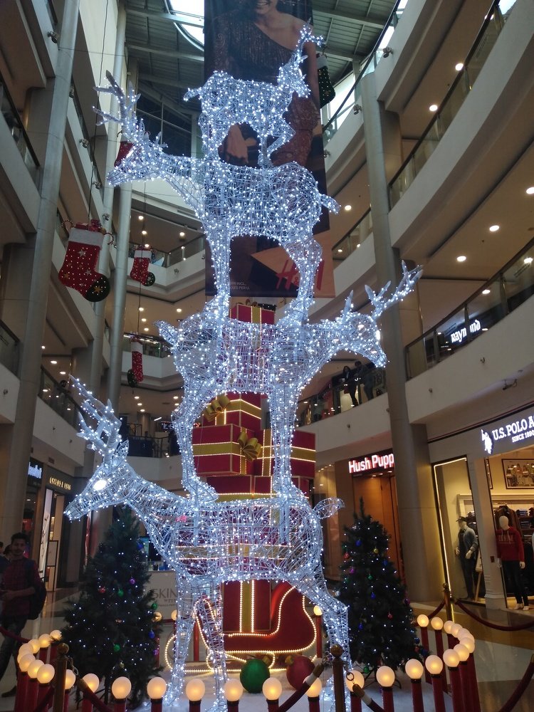 helping is happiness and its free