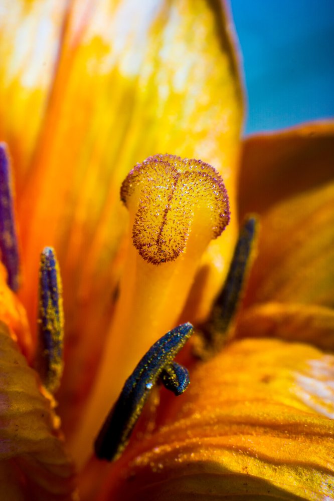 Photograph by Catalin Arcu