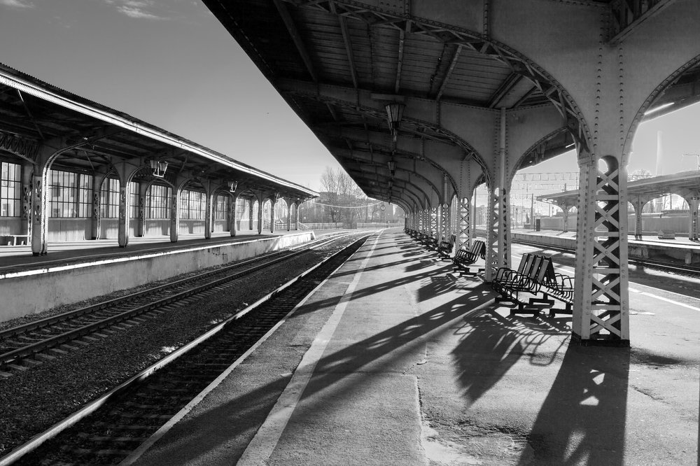 Photograph by Ирина Заколдаева