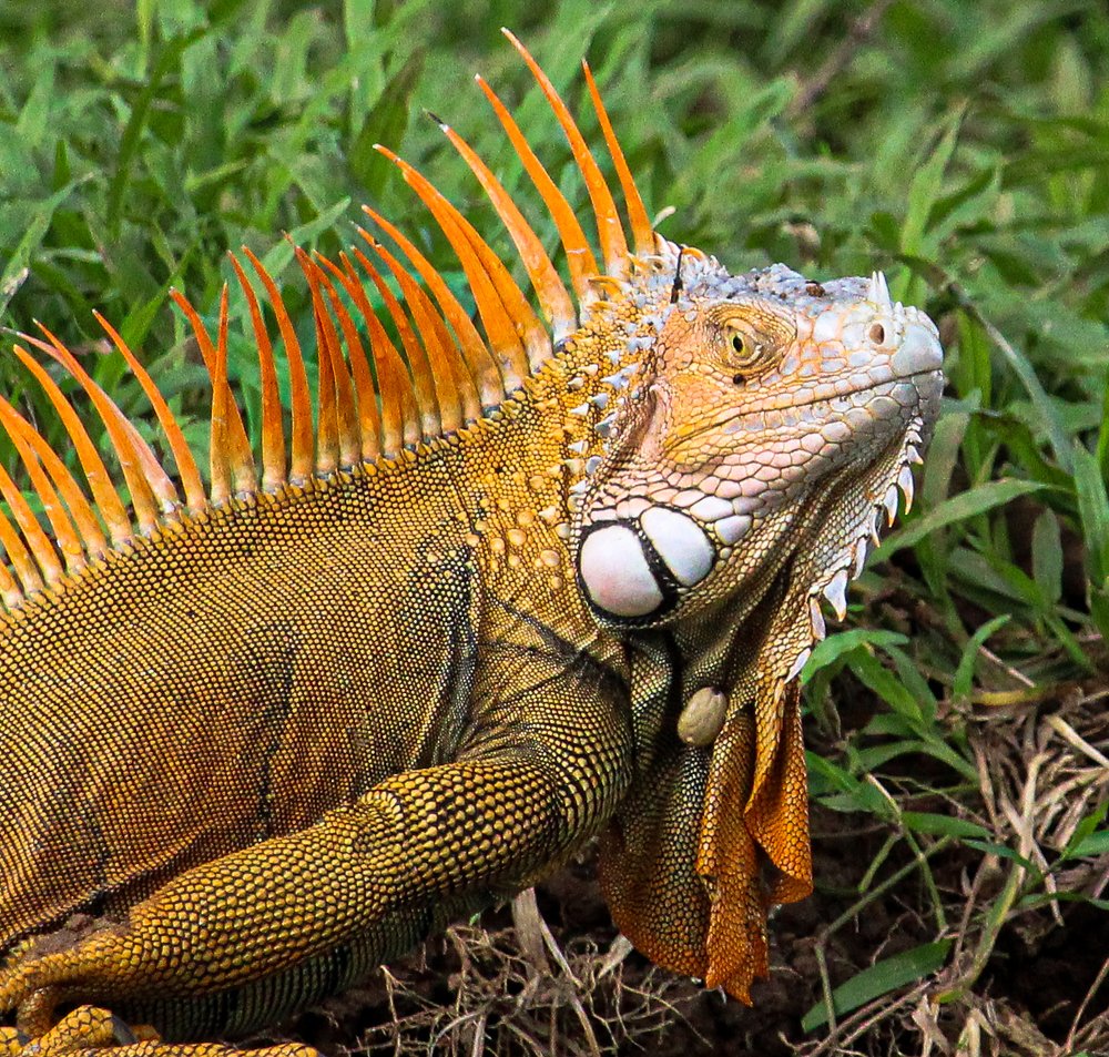 Photograph by Antonio