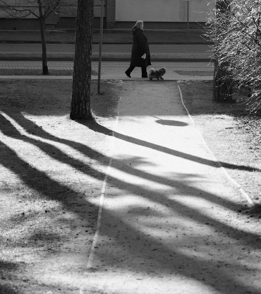 Photograph by Aleksandra Bistrova