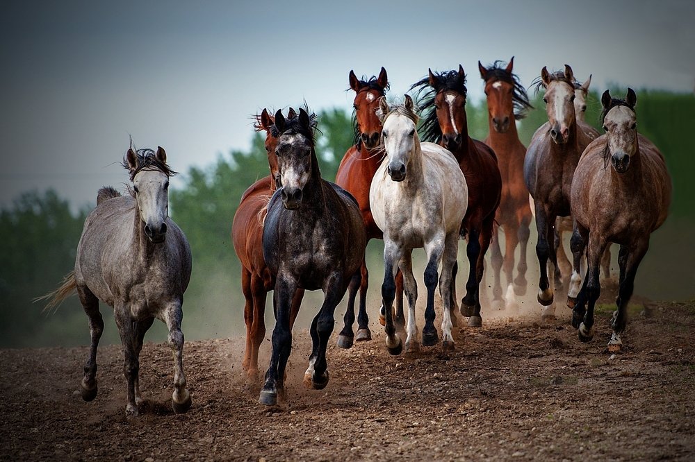 Photograph by Milan Uhrin