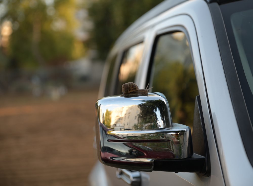 Photograph by Евгений Савельев