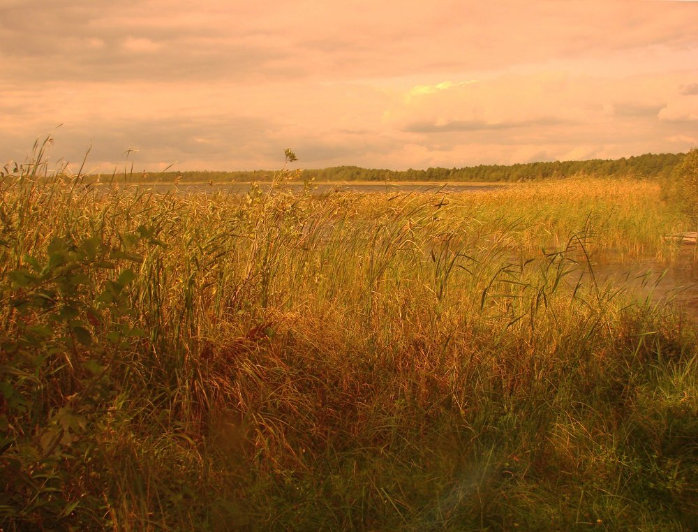 Photograph by Наталия Башмакова