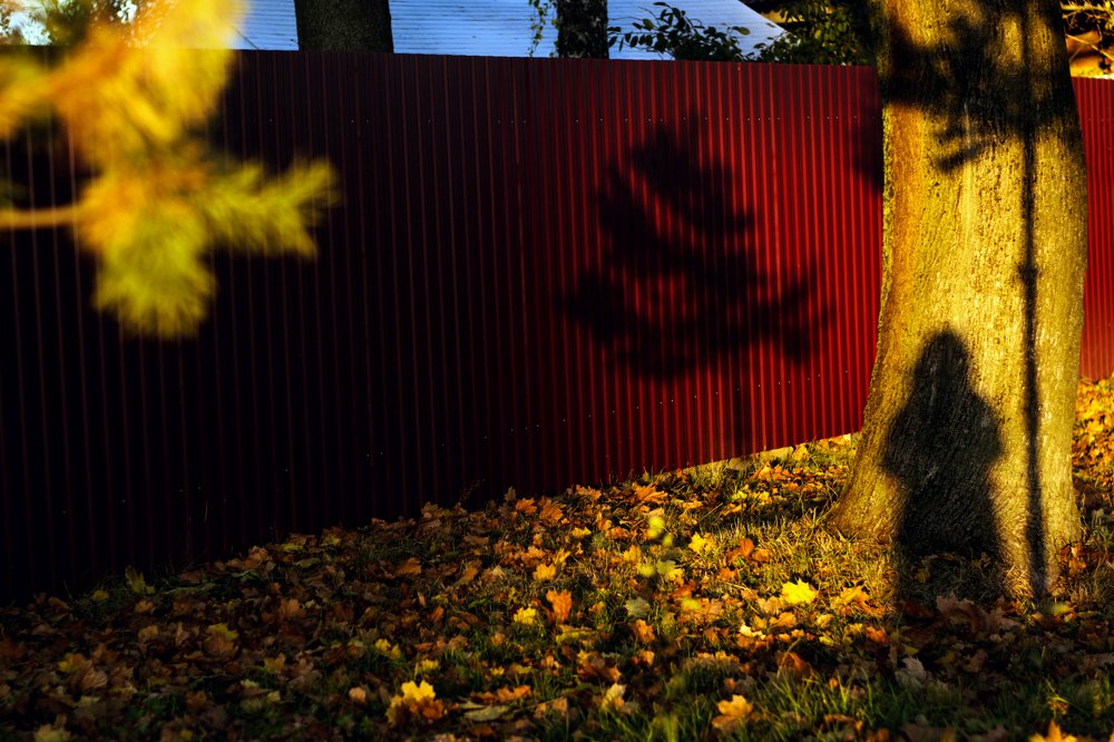 Присутствие. Presence.